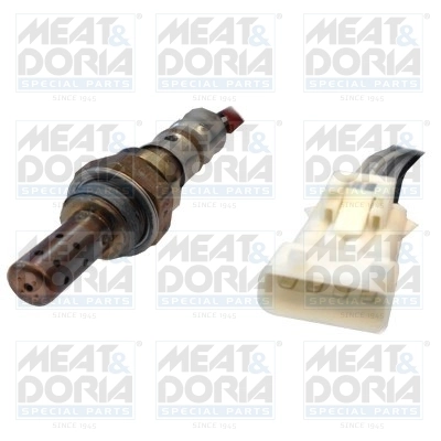 Oxygen Sensor